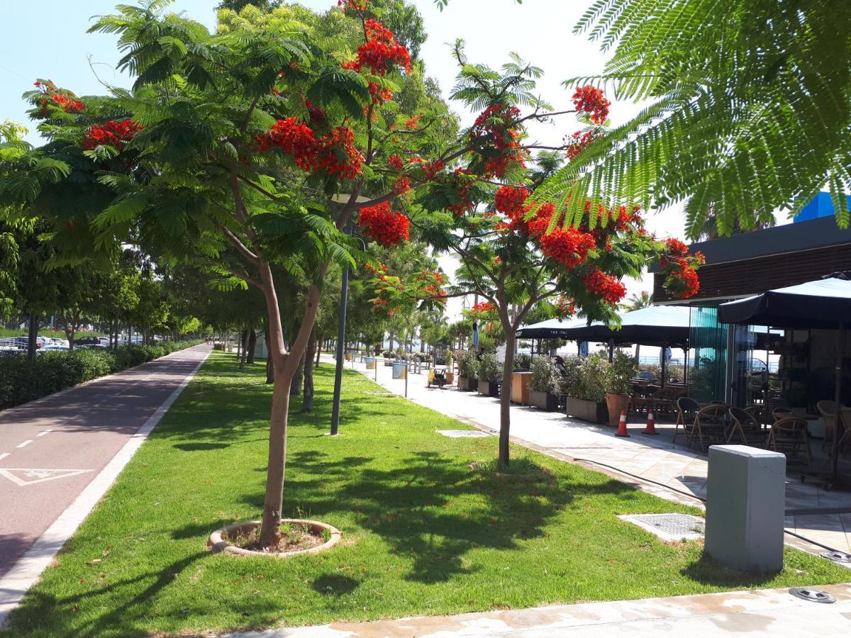 Sea Front & City Center, Amazing Sea View Limasol Dış mekan fotoğraf